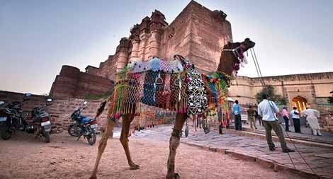 Vacanze invernali in Rajasthan